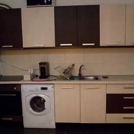 Baneasa Pipera Business Flat *